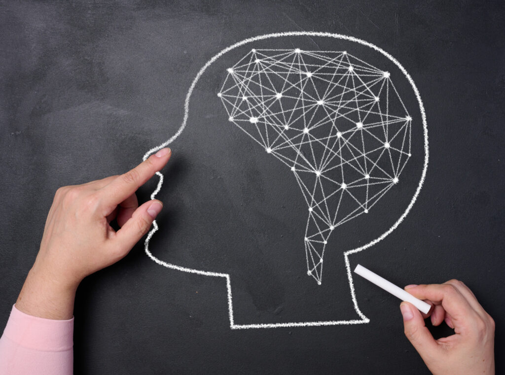 How the Bilingual Brain Learns and Manages Two Languages