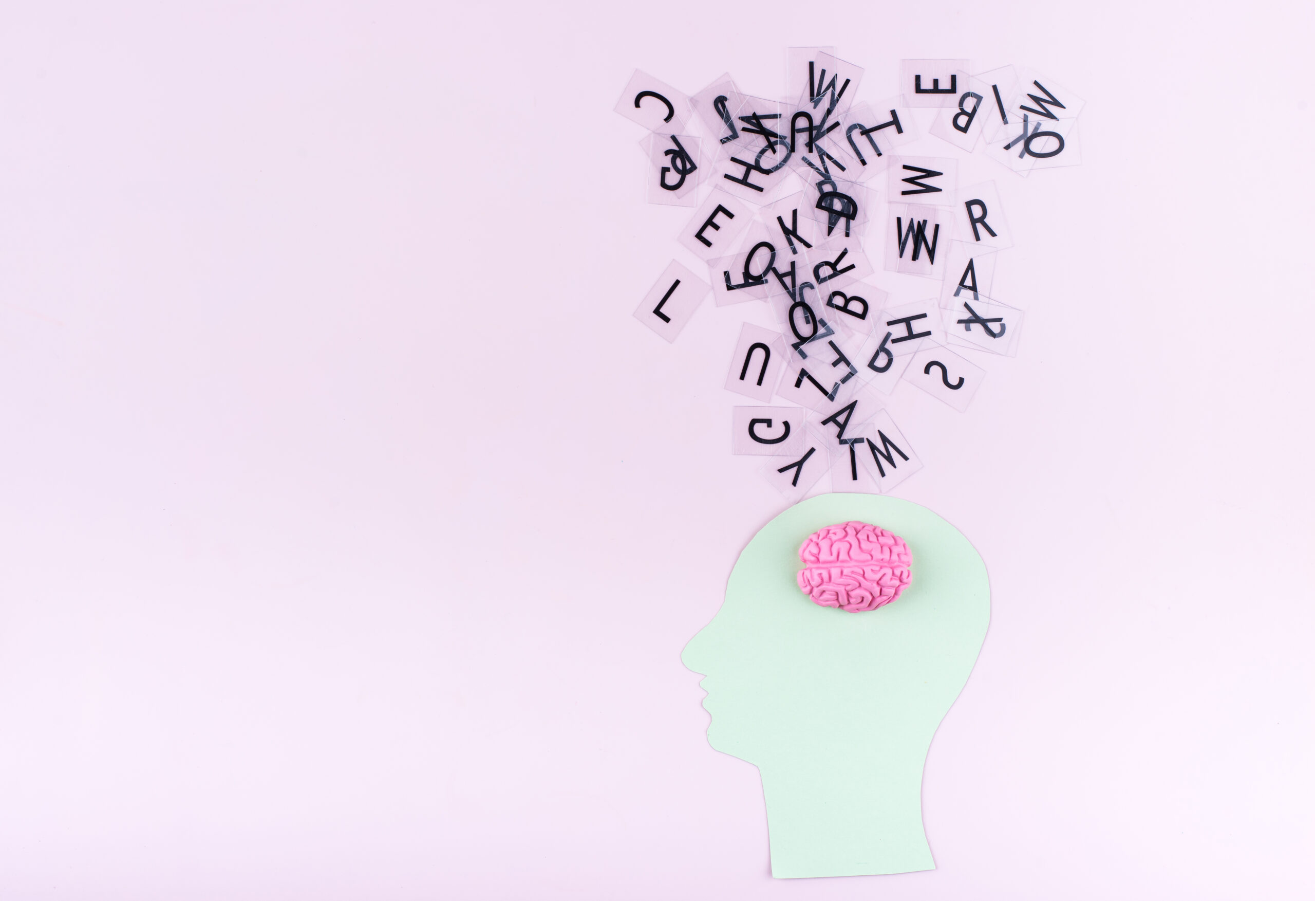 How the Bilingual Brain Learns and Manages Two Languages